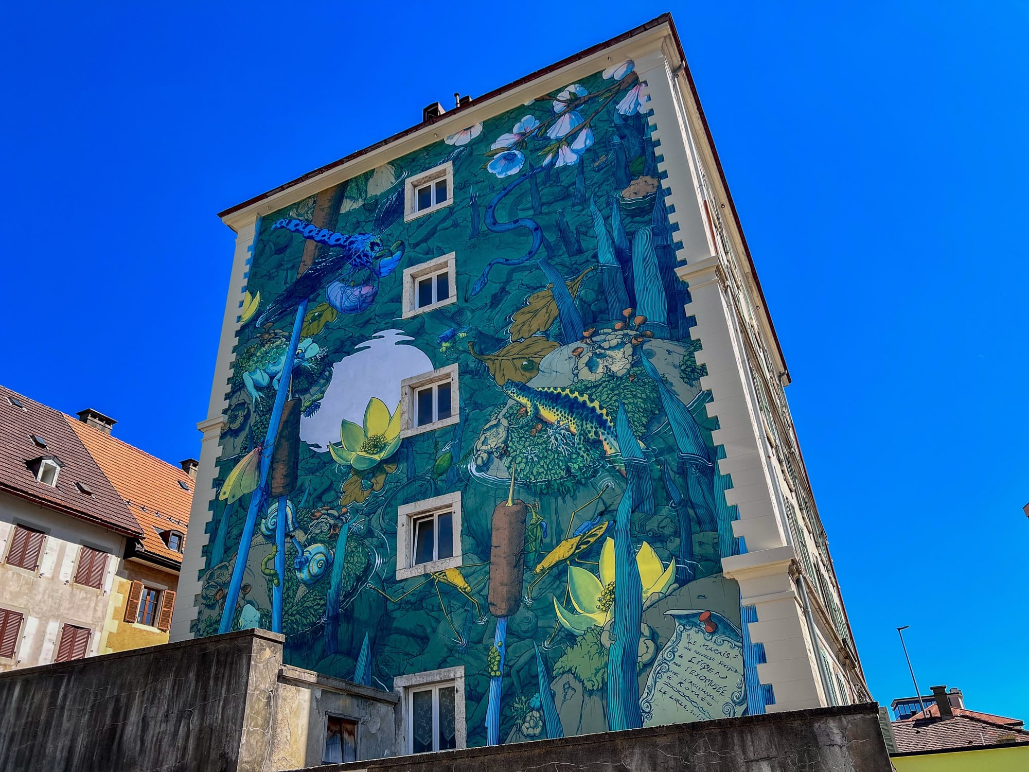Fotografie - Street Art