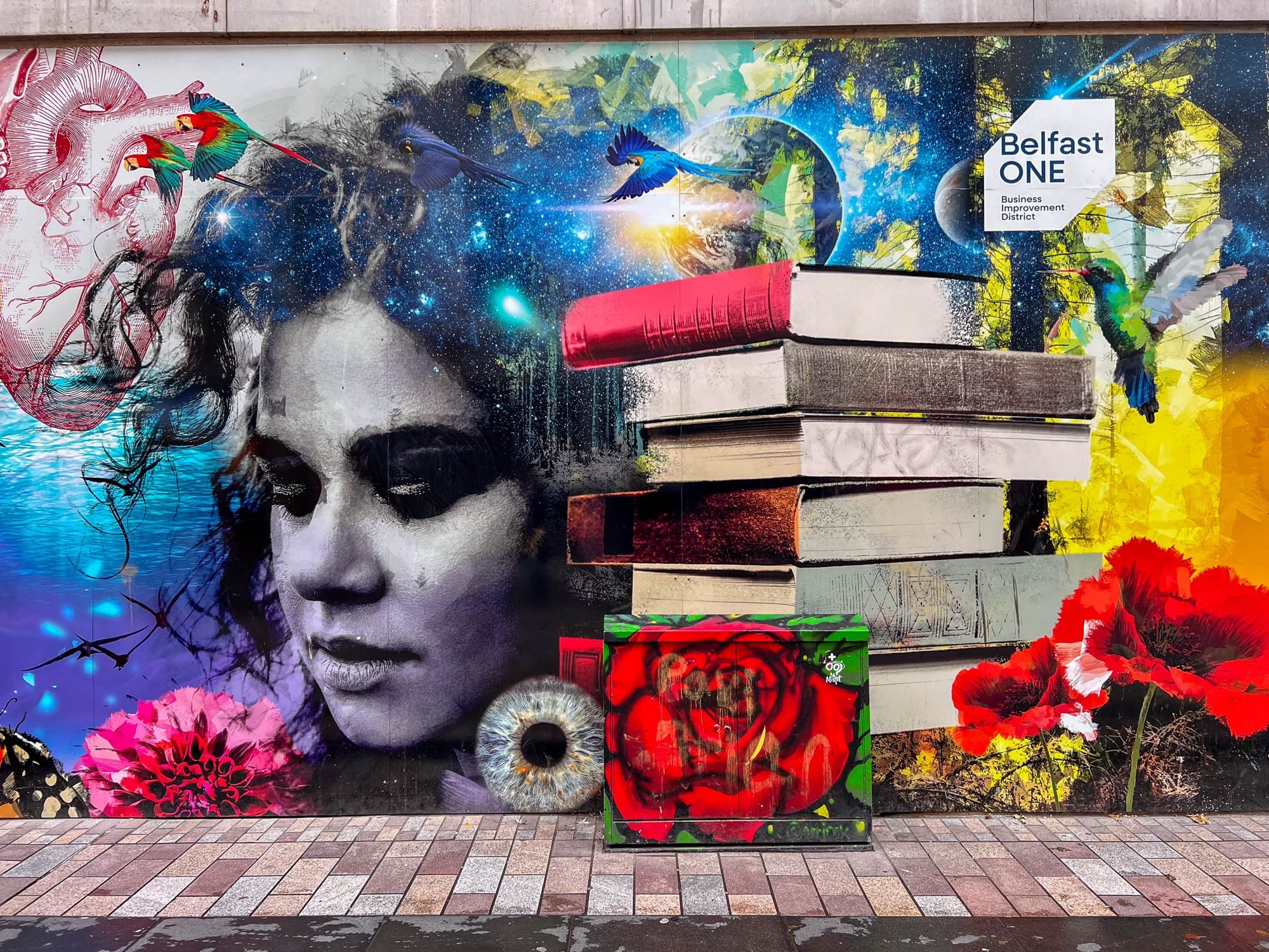 Fotografie - Street Art