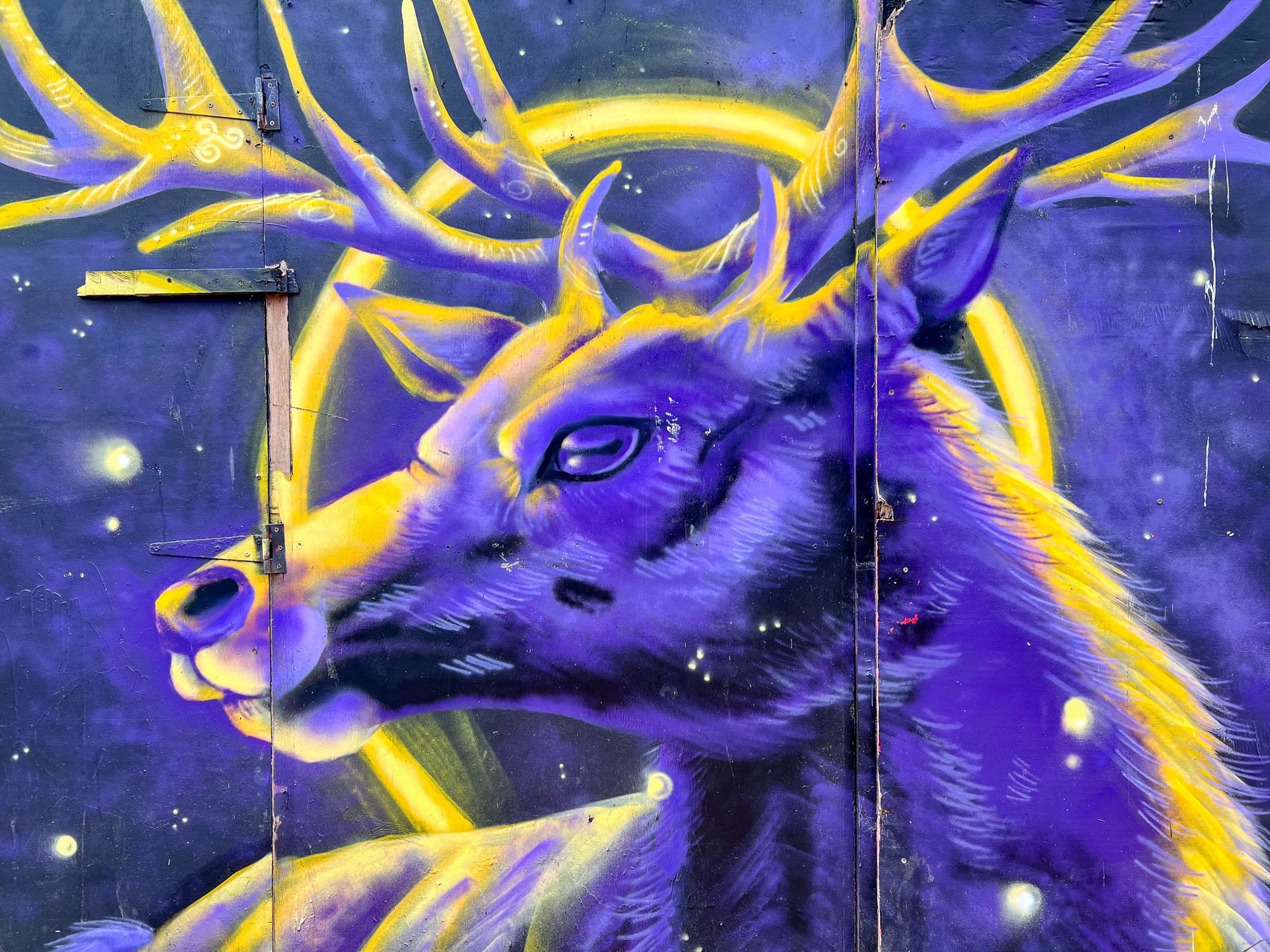 Fotografie - Street Art