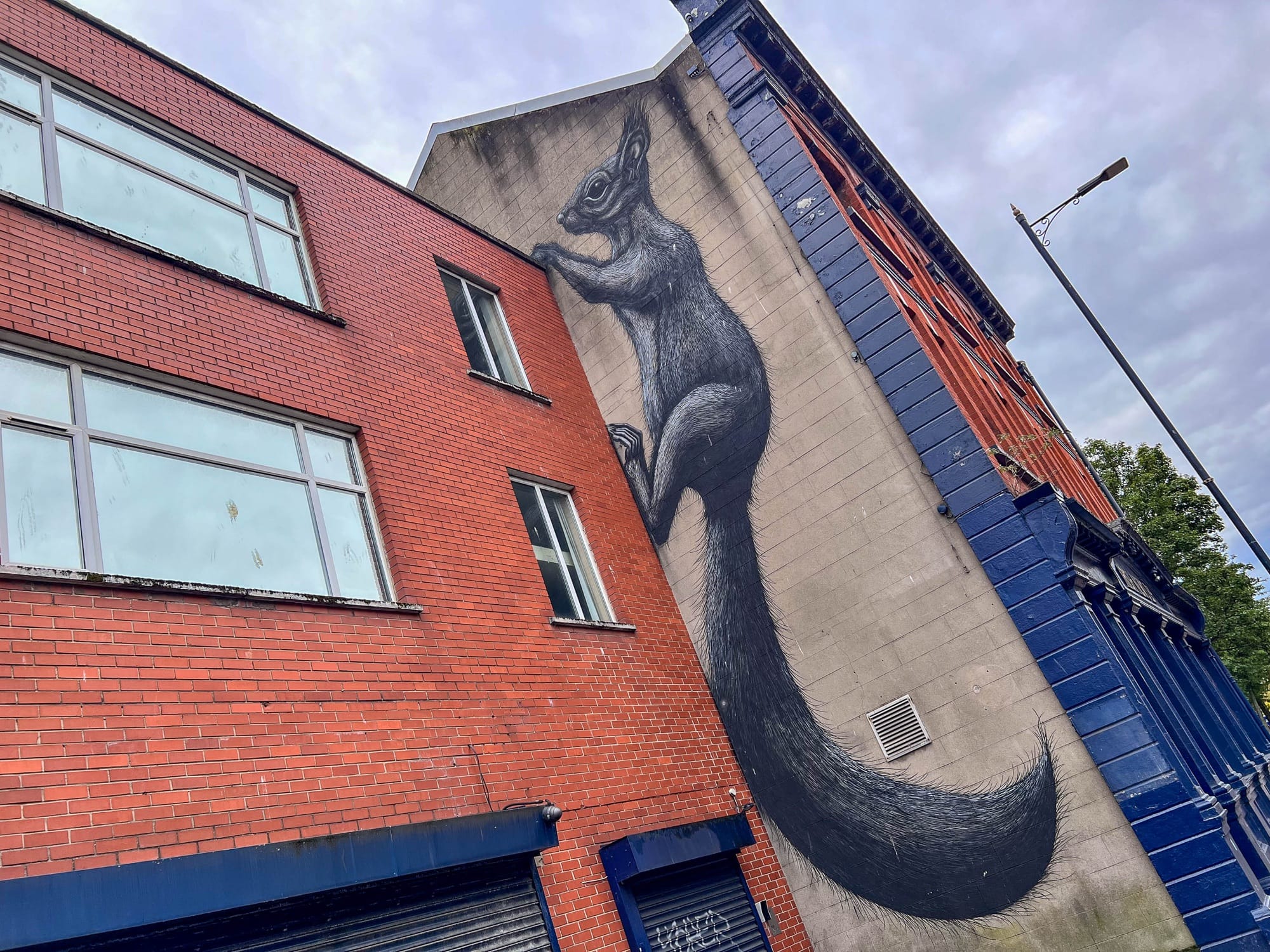 Fotografie - Street Art
